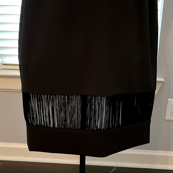 Super fancy cocktail dress. Has fringe at the top and bottom of dress. - Picture 2 of 12